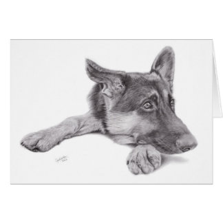German Shepherd Postcard