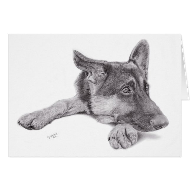 German Shepherd Postcard (Front Horizontal)