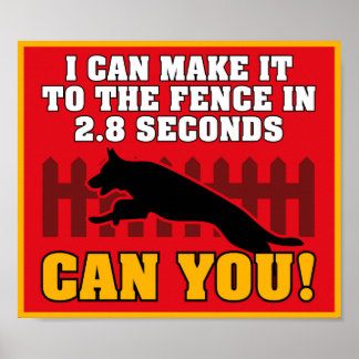 German Shepherd Poster