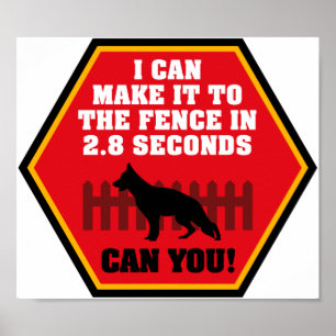 German Shepherd Poster