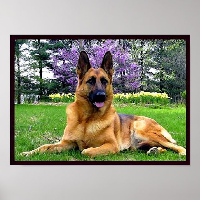 German-Shepherd Poster (Front)