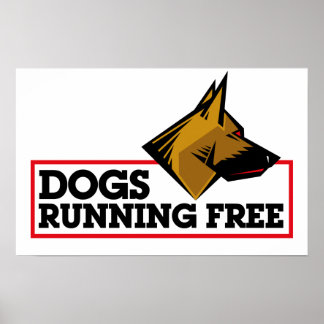 German Shepherd Poster