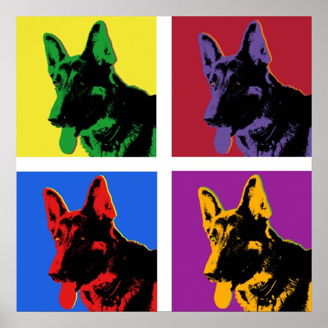 German shepherd poster (Front)