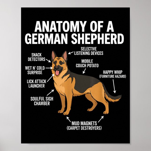 German Shepherd  Poster (Front)