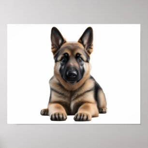 German Shepherd  Poster