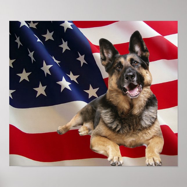 German Shepherd Print (Front)