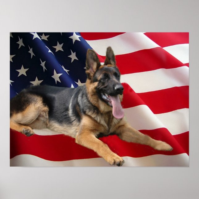 German Shepherd Print (Front)