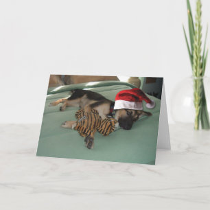 German Shepherd Pup with Santa Hat Holiday Card