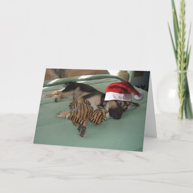German Shepherd Pup with Santa Hat Holiday Card (Front)