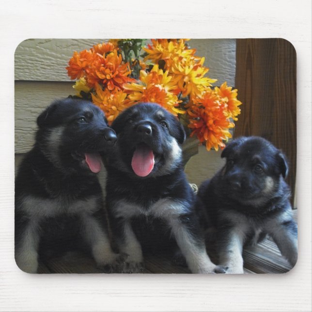 German Shepherd Puppies Mouse Mat (Front)