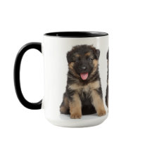 German Shepherd Puppies