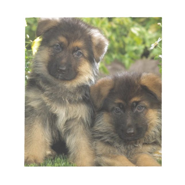 German Shepherd Puppies Notepad (Front)