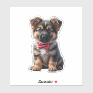 German Shepherd Puppy 