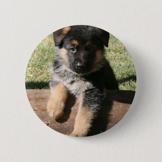 German Shepherd Puppy "Big Max" 6 Cm Round Badge (Front)
