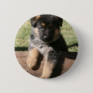 German Shepherd Puppy "Big Max" 6 Cm Round Badge