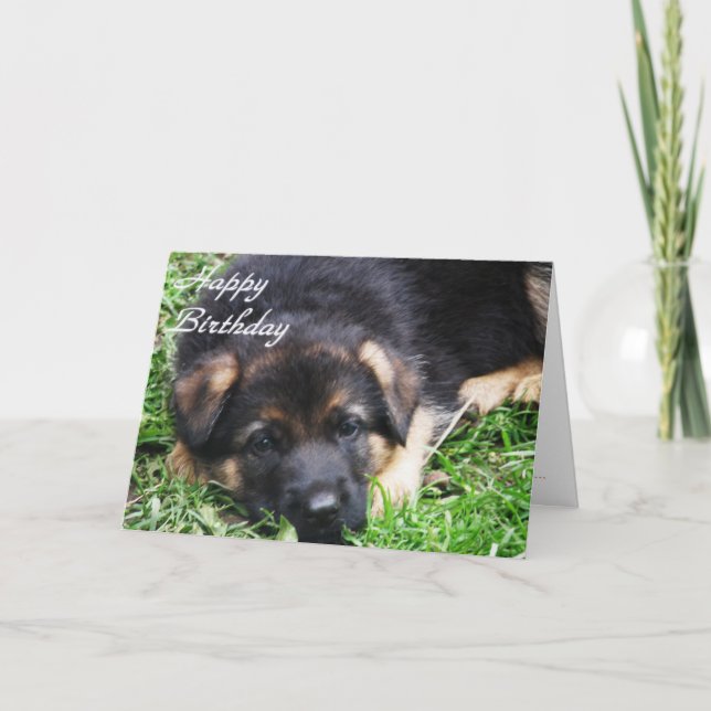 German Shepherd Puppy - Birthday card (Front)