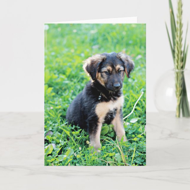 German Shepherd Puppy Card (Front)