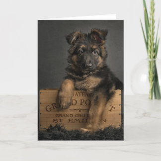 German shepherd puppy card. holiday card