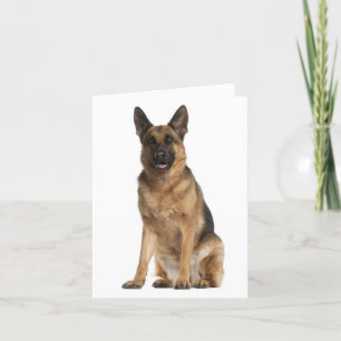 German Shepherd Puppy Dog Blank Note Card