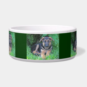 German Shepherd puppy - Dog bowl