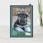 German Shepherd Puppy Funny Birthday Card<br><div class="desc">This funny birthday card shows our adorable floppy-eared German Shepherd puppy named Myla.  Myla has her mouth open in a comical way as she directs the receiver of this card to,  "Inhale... Exhale."  The message inside says,  "It's just another birthday.  Now,  go and have fun!  Happy Birthday."</div>