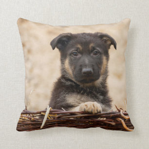 German Shepherd Puppy In Basket Cushion