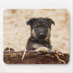 German Shepherd Puppy In Basket Mouse Mat