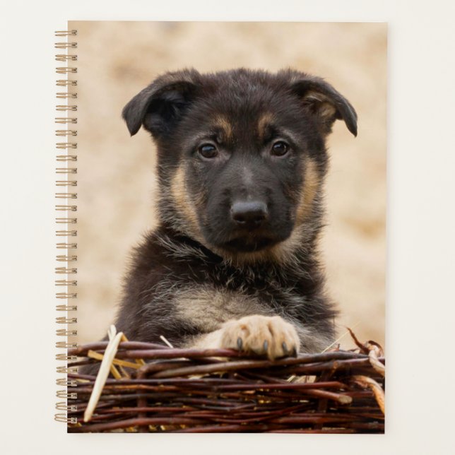German Shepherd Puppy In Basket Planner (Front)