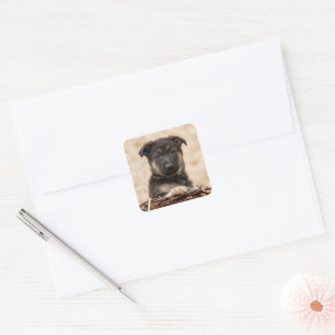 German Shepherd Puppy In Basket Square Sticker