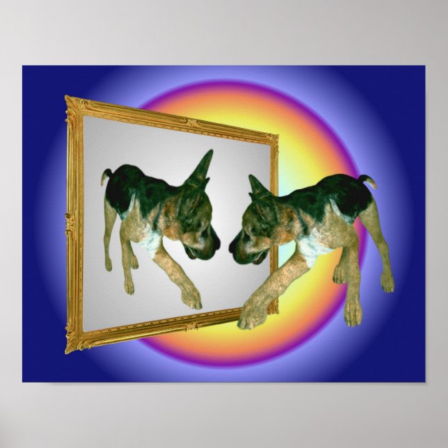 German Shepherd Puppy In Mirror Poster (Front)
