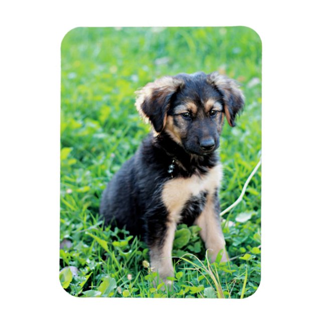 German Shepherd Puppy Magnet (Vertical)