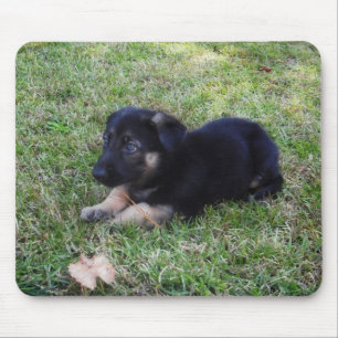 German Shepherd Puppy Mouse pad