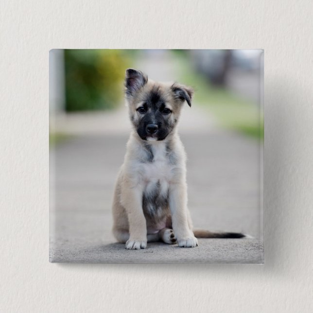 German Shepherd Puppy on Footpath 15 Cm Square Badge (Front)
