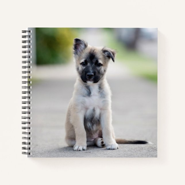 German Shepherd Puppy on Footpath Notebook (Front)