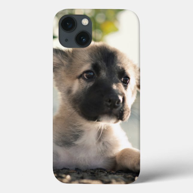 German Shepherd Puppy Over Ledge Case-Mate iPhone Case (Back)