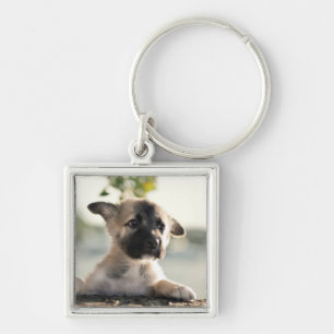 German Shepherd Puppy Over Ledge Key Ring