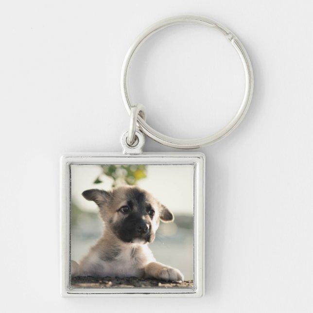 German Shepherd Puppy Over Ledge Key Ring (Front)