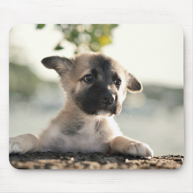 German Shepherd Puppy Over Ledge Mouse Mat (Front)