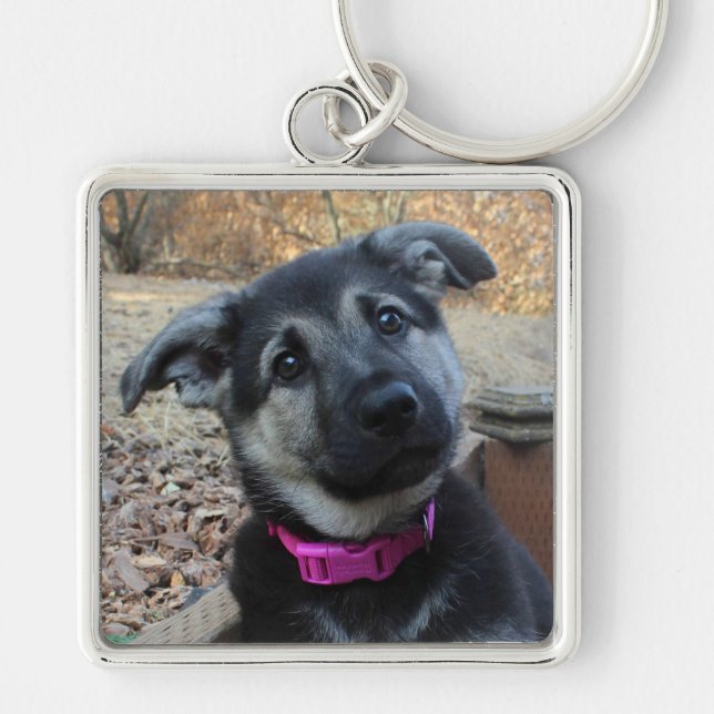 German Shepherd Puppy with Floppy Ears Keychain (Front)