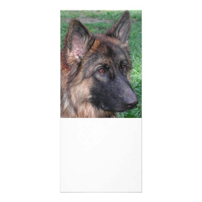 german shepherd rack card (Front)
