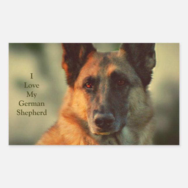 German Shepherd Rectangular Sticker (Front)