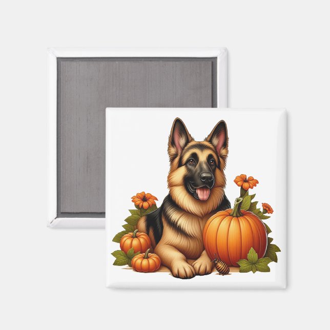 German Shepherd Resting With Pumpkins and Flowers Magnet (Front/Back)
