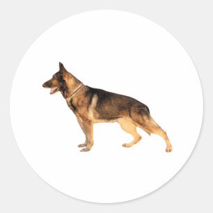 German shepherd Round Sticker