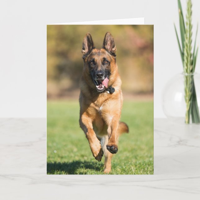 German Shepherd Running Card (Front)