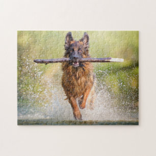 German Shepherd Running with Stick Jigsaw Puzzle