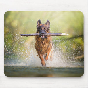German Shepherd Running with Stick Mouse Mat