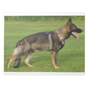 German Shepherd Sable Full Notepad