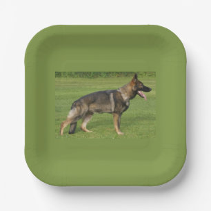 German Shepherd Sable Full Paper Plate