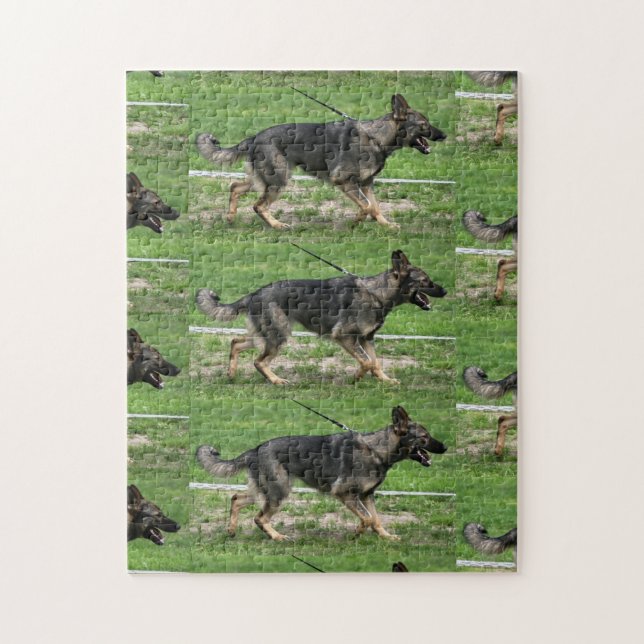 german shepherd sable walking jigsaw puzzle (Vertical)