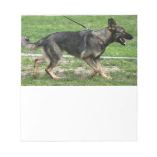 german shepherd sable walking notepad